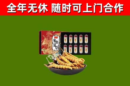 陕西省烟酒回收冬虫夏草礼盒.jpg